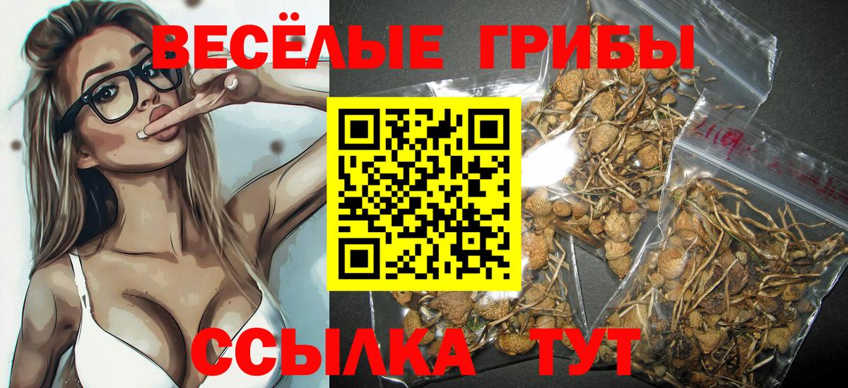 наркошоп  Вход с VPN  Волгоград  Галлюциногенные грибы ЛСД  Галлюциногенные грибы Cubensis 