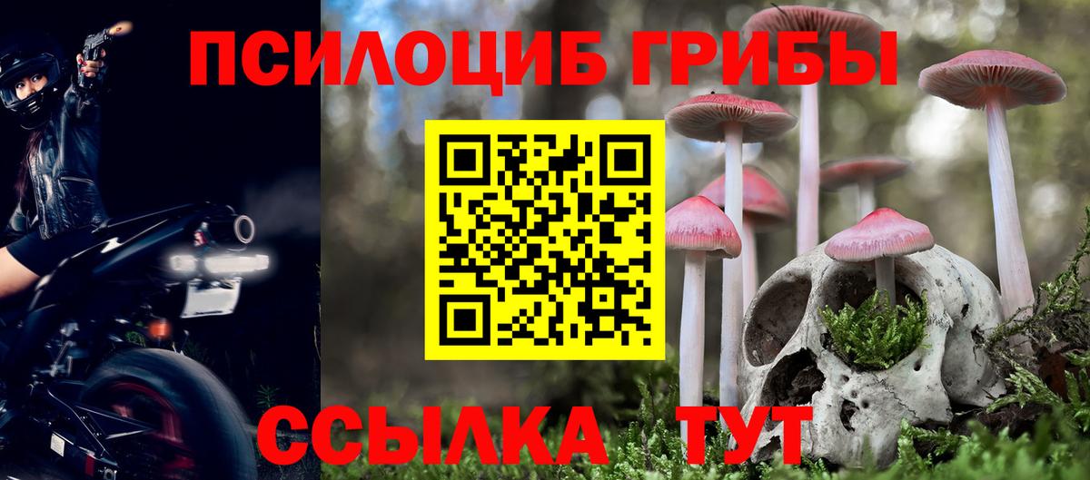 Псилоцибиновые грибы Psilocybine cubensis Волгоград